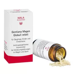 GENTIANA MAGEN Velati küreleri, 20 gr