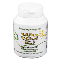 WU WEI ZI Besin takviyeleri için Nutri kapsülleri, 120 adet