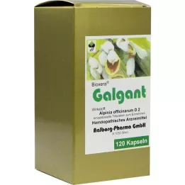 GALGANT KAPSÜL, 120 adet