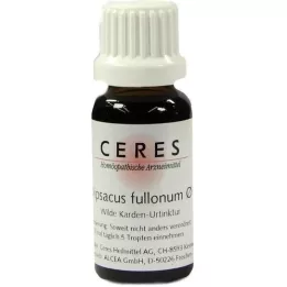 CERES Dipsacus fullonum ana tentürü, 20 ml