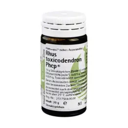 RHUS TOXICODENDRON PHCP Kürecikler, 20 g