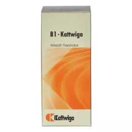 B1 KATTWIGA tabletler, 100 adet