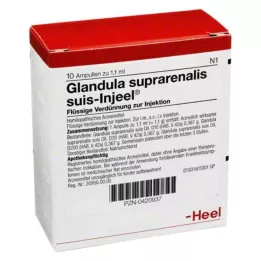 GLANDULA SUPRARENALIS suis Injeel ampuller, 10 adet