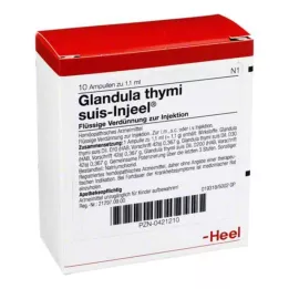 GLANDULA THYMI suis Injeel ampuller, 10 adet