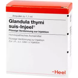 GLANDULA THYMI suis Injeel ampuller, 100 adet
