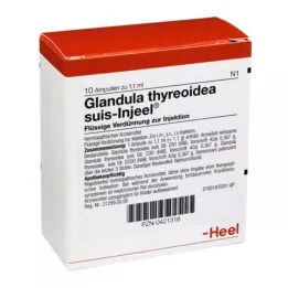 GLANDULA THYREOIDEA suis Injeel ampuller, 10 adet
