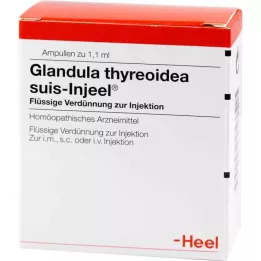 GLANDULA THYREOIDEA suis Injeel ampuller, 100 adet