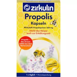 ZIRKULIN Propolis kapsülleri, 30 adet