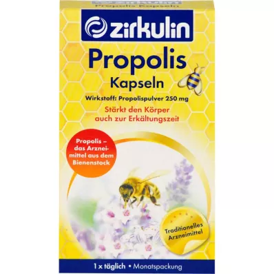ZIRKULIN Propolis kapsülleri, 30 adet ZIRKULIN Propolis kapsülleri, 30 adet