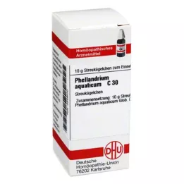 PHELLANDRIUM AQUATICUM C 30 Globuli, 10 g