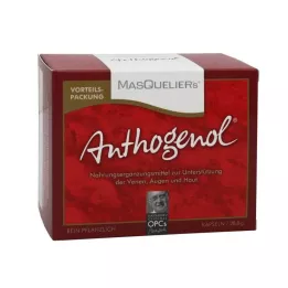 OPC ORIGINAL Masqueliers Anthogenol kapsülleri, 75 adet