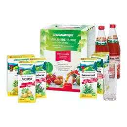 SCHLANKHEITSKUR Klasik Schoenenberger, 1 P