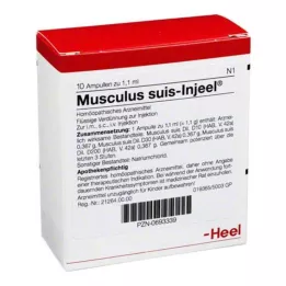 MUSCULUS SUIS Injeel ampuller, 10 adet
