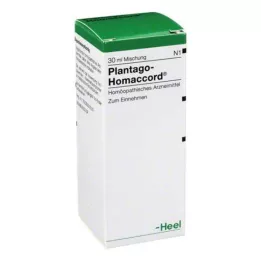 PLANTAGO HOMACCORD Damlalar, 30 ml