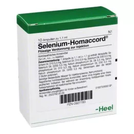 SELENIUM HOMACCORD Ampuller, 10 adet