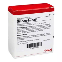 SILICEA INJEEL Ampuller, 10 adet