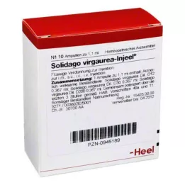 SOLIDAGO VIRGAUREA INJEEL Ampuller, 10 adet