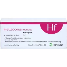 HELLEBORUS FOETIDUS su. D 6 ampul, 8X1 ml