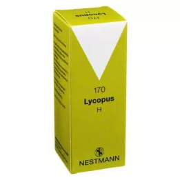 LYCOPUS H No.170 damla, 100 ml