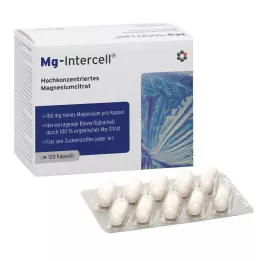 MG-INTERCELL kapsüller, 120 saat