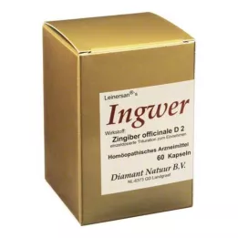 INGWER Kapsül, 60 ST
