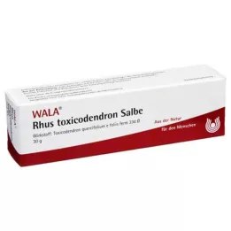 RHUS TOXICODENDRON MERHEM, 30 gr