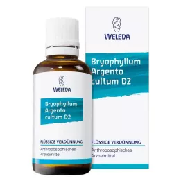 BRYOPHYLLUM ARGENTO cultum D 2 Seyreltme, 50 ml