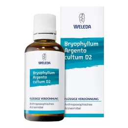 BRYOPHYLLUM ARGENTO cultum D 3 Seyreltme, 50 ml