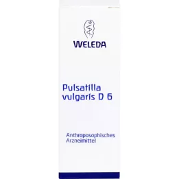 PULSATILLA VULGARIS D 6 Seyreltme, 50 ml