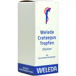 CRATAEGUS DAMLALAR, 100 ml
