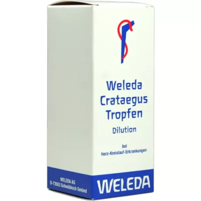 CRATAEGUS DAMLALAR, 100 ml