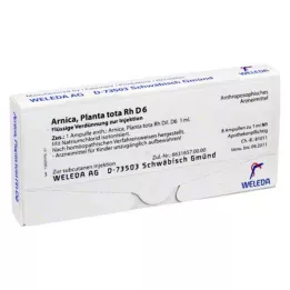 ARNICA PLANTA toplam Rh D 6 ampul, 8X1 ml