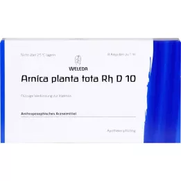 ARNICA PLANTA toplam Rh D 10 ampul, 8 ml
