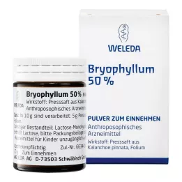 BRYOPHYLLUM %50 oral kullanım için toz, 50 g