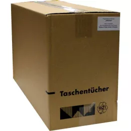 TASCHENTÜCHER Motif Vitaminleri, 1 adet