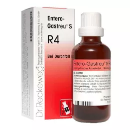 ENTERO-GASTREU S R4 karışımı, 22 ml