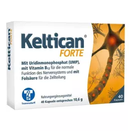 KELTICAN forte kapsüller, 40 adet