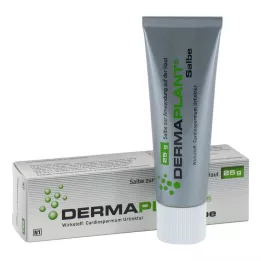 DERMAPLANT Merhem, 25 gr