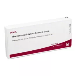 MESENCHYM/CALCIUM karbonikum komp. ampuller, 10X1 ml