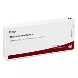 ORGANUM dörtlü ampuller, 10X1 ml