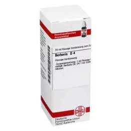 BERBERIS D 4 Seyreltme, 20 ml