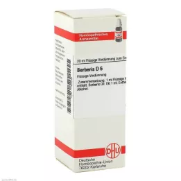 BERBERIS D 6 Seyreltme, 20 ml