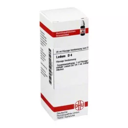 LEDUM D 4 Seyreltme, 20 ml