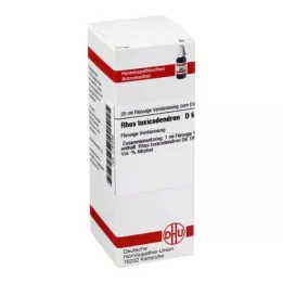 RHUS TOXICODENDRON D 6 Seyreltme, 20 ml