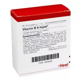 VITAMIN B6 INJEEL ampul, 10 adet