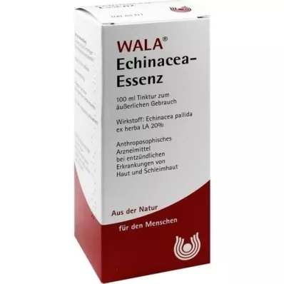 ECHINACEA ÖZ, 100 ml