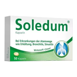 SOLEDUM 100 mg mideye dayanıklı kapsüller, 50 adet