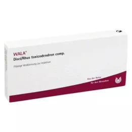 DISCI/Rhus toksikodendron comp.Ampuller, 10X1 ml