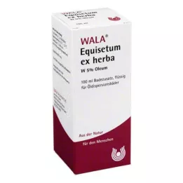 EQUISETUM EX Herba W 5% oleum, 100 ml