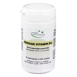 PANGAM B15 Vitamini kapsülleri, 60 adet